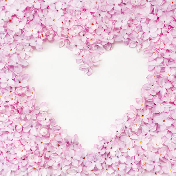 istock Lilac flowerheads heart shape frame. Floral beautiful border with copyspace. 1165311889