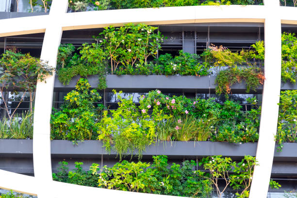 istock Detail from a living wall 1165312108