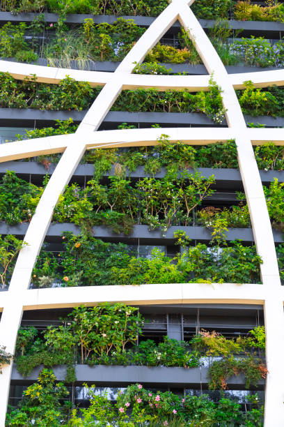 istock Detail from a living wall 1165312109