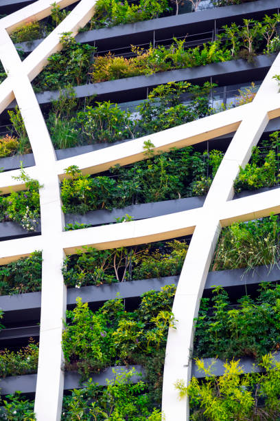 istock Detail from a living wall 1165312110