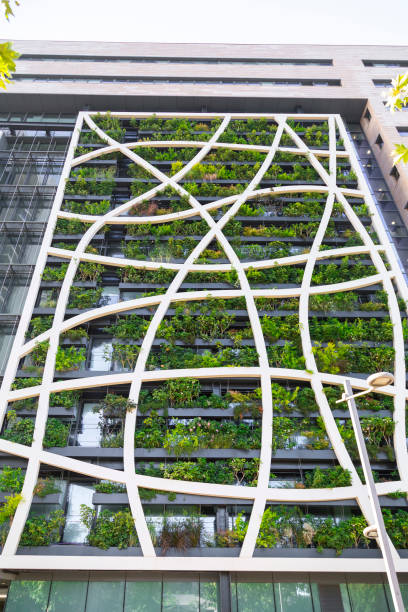 Detail from a living wall