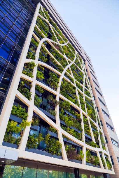 istock Detail from a living wall 1165312161