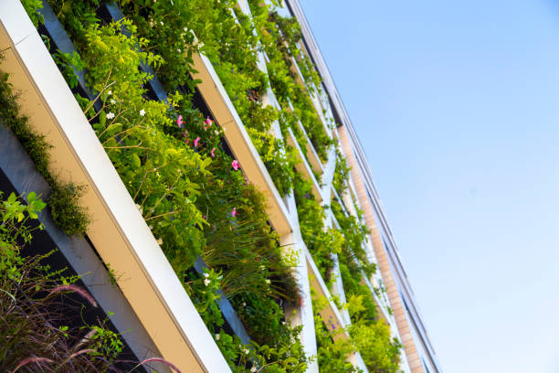Detail from a living wall