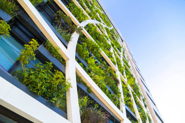 istock Detail from a living wall 1165312163