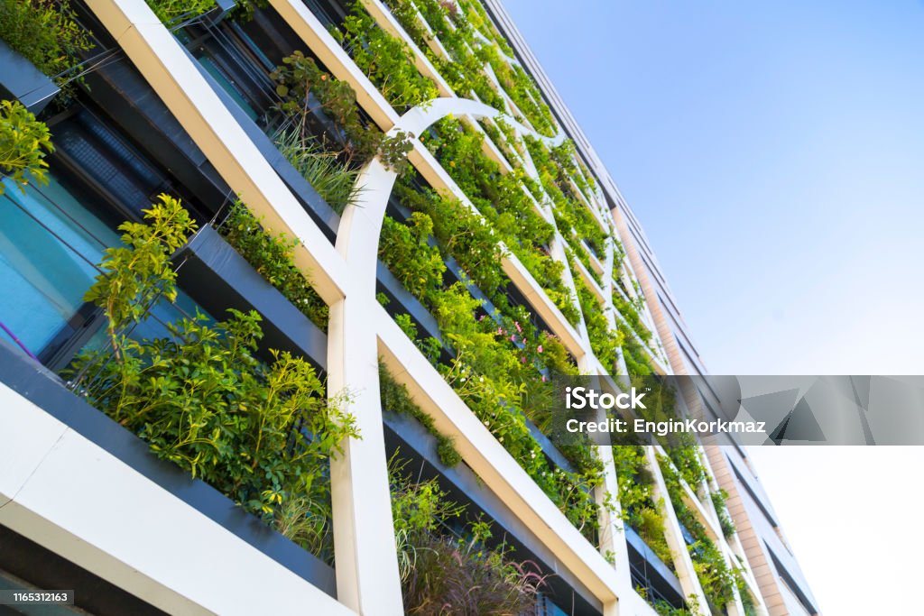Detail from a living wall Detail from a living wall covered with variety of plants, flowers and grass, eco-friendly urban architecture in Tel Aviv, Israel Building Exterior Stock Photo