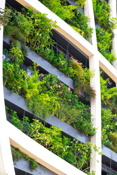 Detail from a living wall