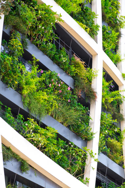 istock Detail from a living wall 1165312167