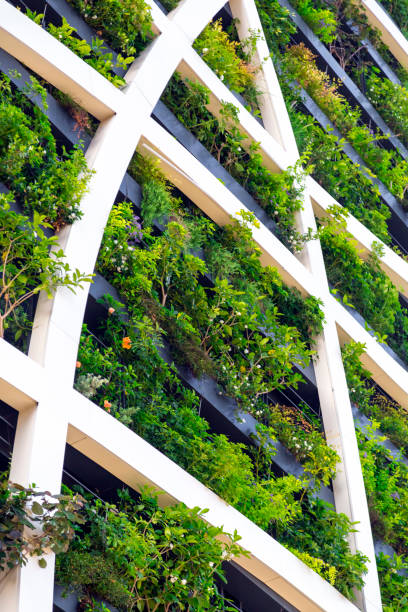 istock Detail from a living wall 1165312168
