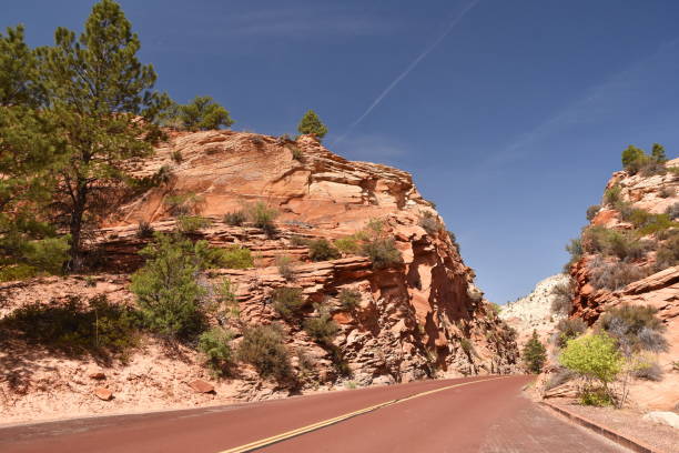 istock Red road in Zion National Park 1165315476