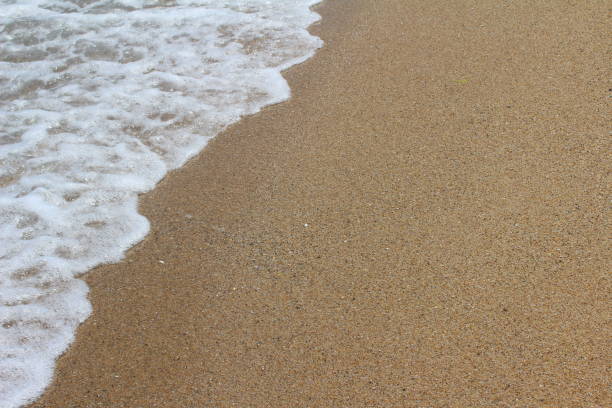 istock The wind rolls small waves on a sandy beach. Summer sea backgrou 1165316072