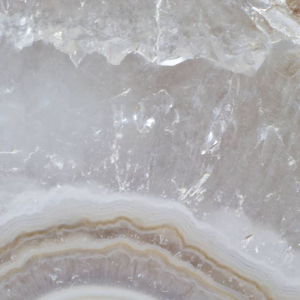 istock Natural piece of a dendrite agate texture close up 1165316629