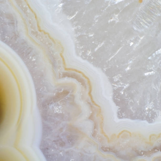 istock Natural piece of a dendrite agate texture close up 1165318373