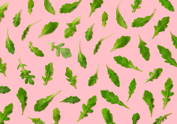 istock Colorful pattern of fresh rucola or arugula leaves 1165318563