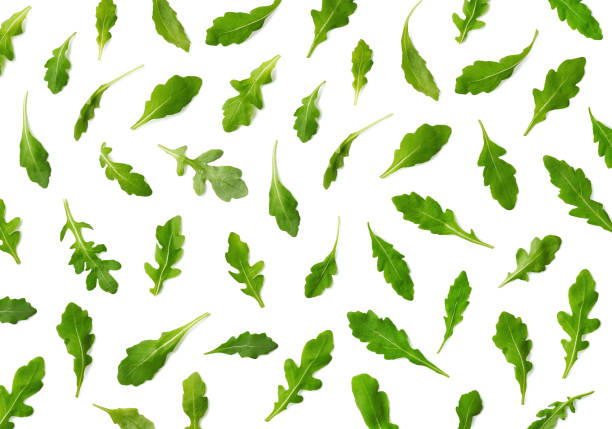 Pattern of fresh arugula or rucola salad leaves Pattern of fresh arugula or rucola salad leaves isolated on white background. Top view arugula stock pictures, royalty-free photos & images