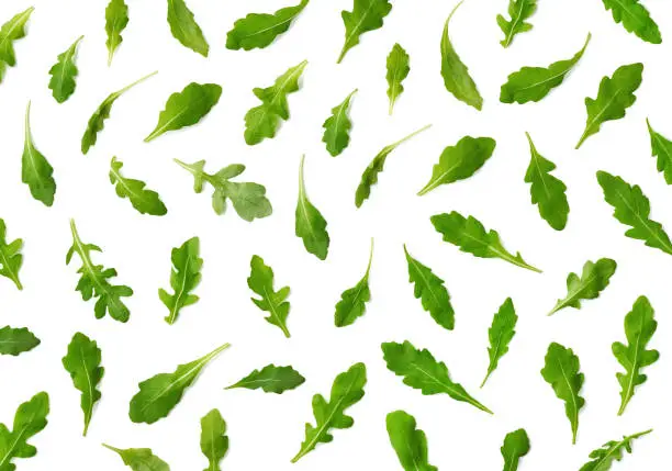 Pattern of fresh arugula or rucola salad leaves isolated on white background. Top view