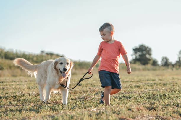 istock The Best friends walking together 1165318899