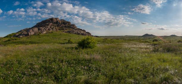 istock Landscape with flowers and rocks in prairie 1165320369