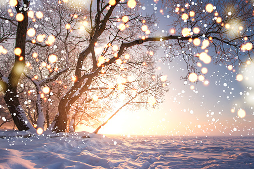 Christmas Background Magic Glowing Snowflakes In Winter Nature Landscape  Beautiful Winter Scene With Bokeh Winter Fairytale Illuminated Lights Stock  Photo - Download Image Now - iStock