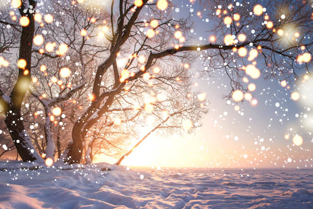 Christmas background. Magic glowing snowflakes in winter nature landscape. Beautiful winter scene with bokeh. Winter fairytale. Illuminated lights stock photo