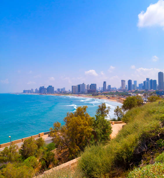 istock Panoramic view of Tel Aviv-Yafo, Israel 1165322364