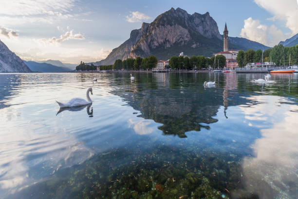 вид на город с горы святого мартина отражается в водах озера и лебедей. - lake como water italy sunset стоковые фото и изображения