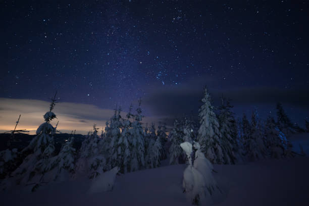 istock Snowy forest and stars in sky 1165326518