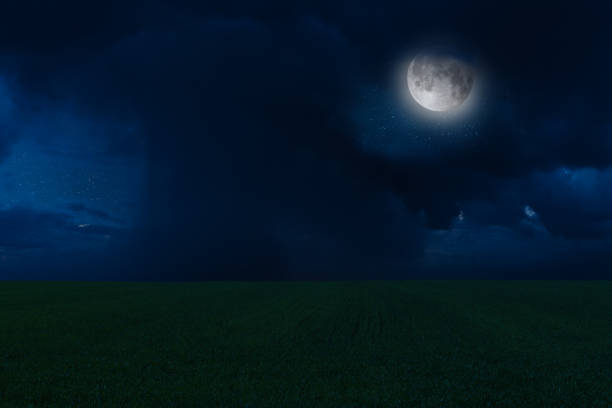 istock Night landscape with moon and stars 1165326689