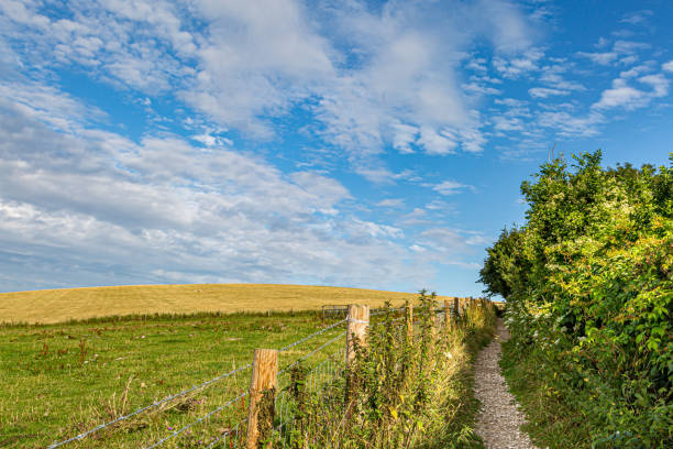 a south downs summer landscape - clayton imagens e fotografias de stock