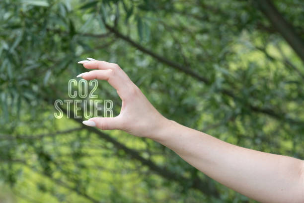 istock A Woman and Co2 Tax 1165327438