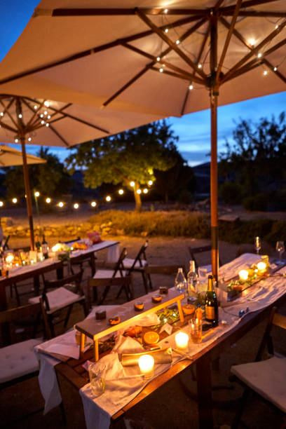 istock Wedding Venue at Dusk 1165328673