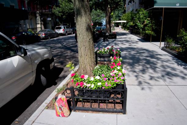 Lower Montague Street in Brooklyn Heghts Brooklyn Heights, NY, USA - July 31, 2019: Lower Montague Street with its brownstones, trees and flowers, stores and pedestrians on a bright summer day. warren street brooklyn stock pictures, royalty-free photos & images