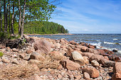 Baltic sea coast in summer. Landscape photo