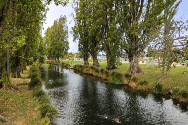 istock Tree lined river in Christchurch, New Zealand 1165331019