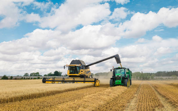 récolte d'un champ d'avoine en été, beverley, yorkshire, royaume-uni. - tractor farm uk agriculture photos et images de collection