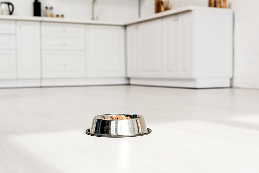 metal bowl with dog food on white floor in kitchen