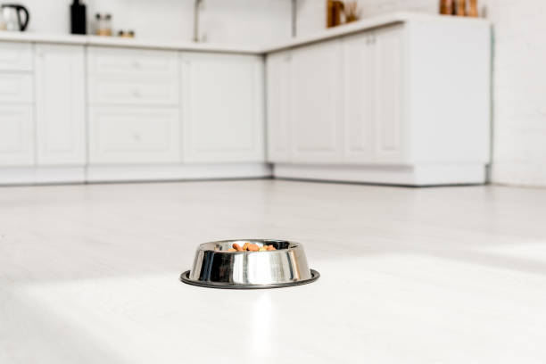 metal bowl with dog food on white floor in kitchen metal bowl with dog food on white floor in kitchen dog bowl photos stock pictures, royalty-free photos & images
