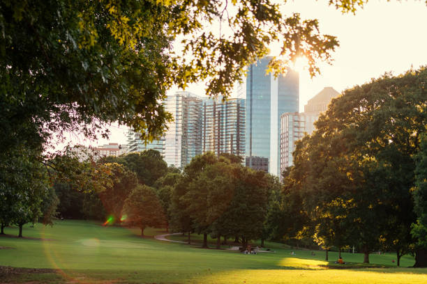istock The Atlanta skyline from Piedmont Park 1165340418