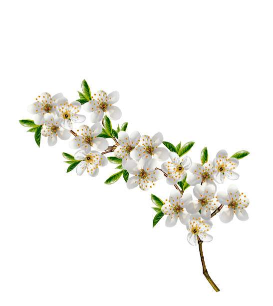 istock Bouquet of bright colorful flowers 1165340657