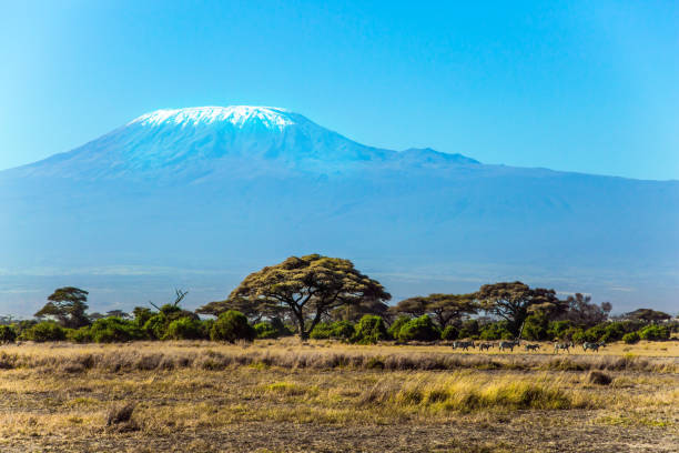 istock Impressive travel to Kenya, Africa 1165340962