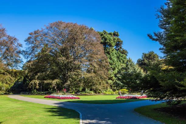 istock Magnificent collection of plants 1165341666