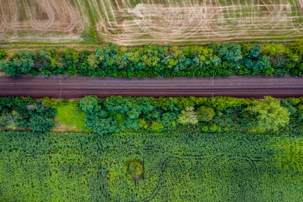 istock Aerial view of railroad 1165342451