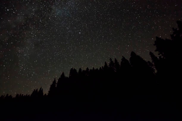 istock Perseid Meteor Shower and stars 1165342468