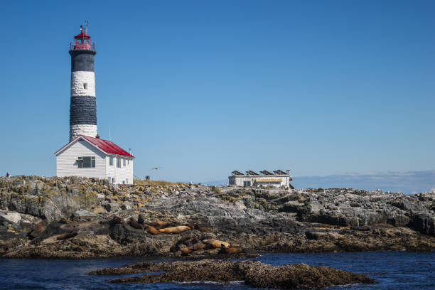 istock Race Rocks Lighthouse, Victoria, Canada 1165343178