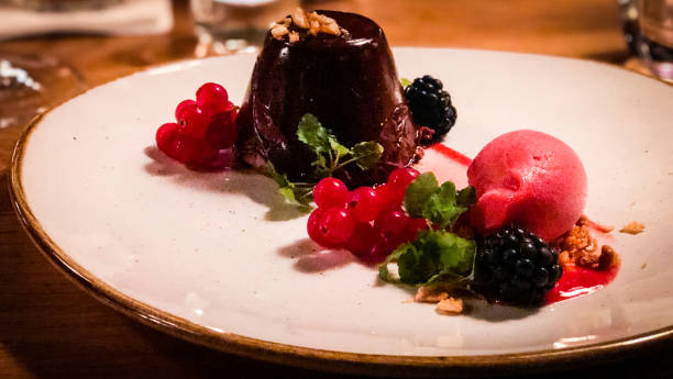 istock chocolate lava cake with red berry sorbet 1165343745