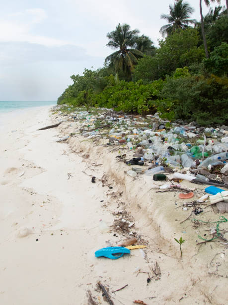 istock Beach pollution save the planet stock photo 1165346005