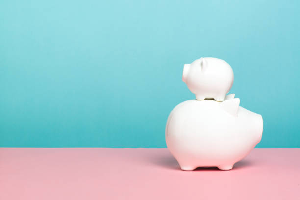 piggy bank