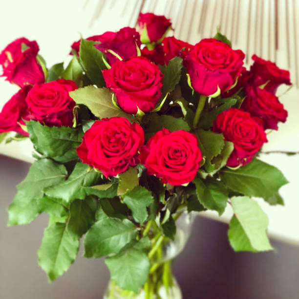istock red roses bouquet close up view 1165346306