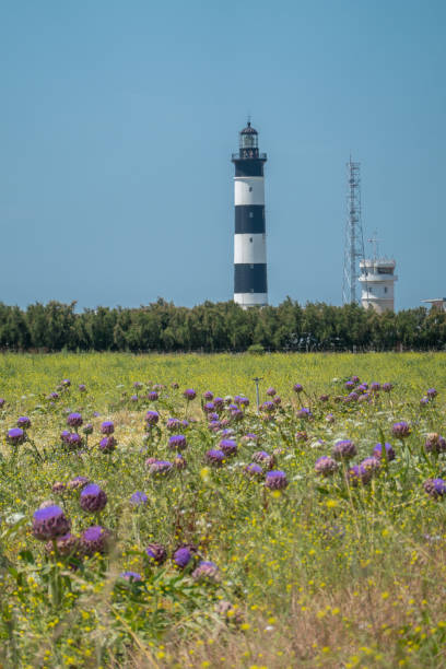 istock Small lighthouse at French shore 1165352439