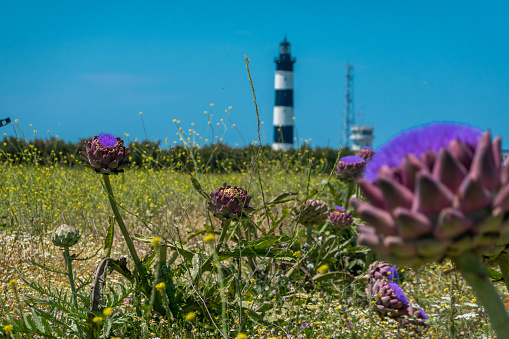 This lighthouse is from Oleron island in Franch.