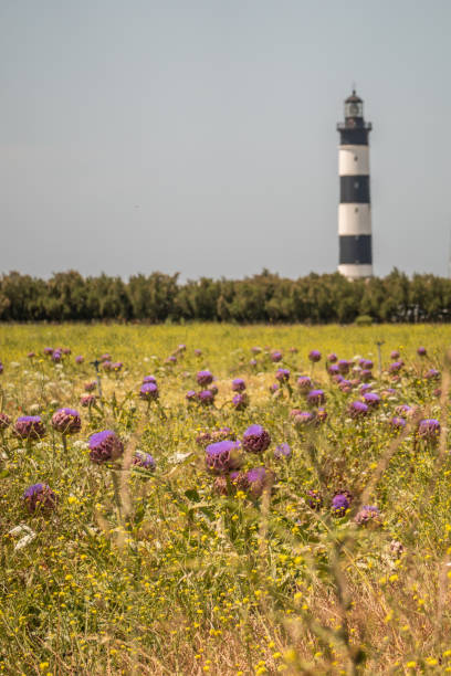 istock Small lighthouse at French shore 1165352442
